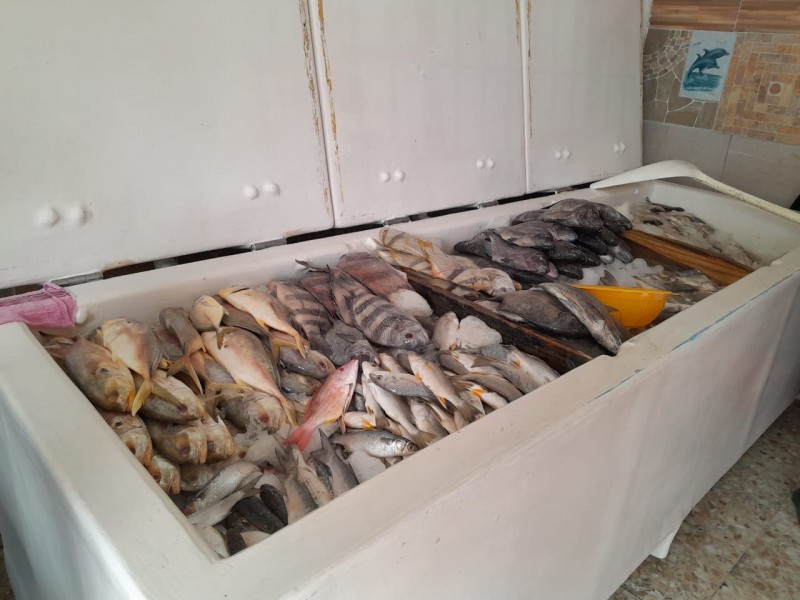 Sin repunte pescaderías en Tuxpan