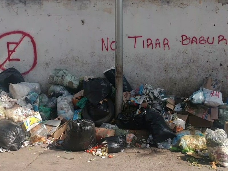 Sin respetarse horarios de recolección de basura