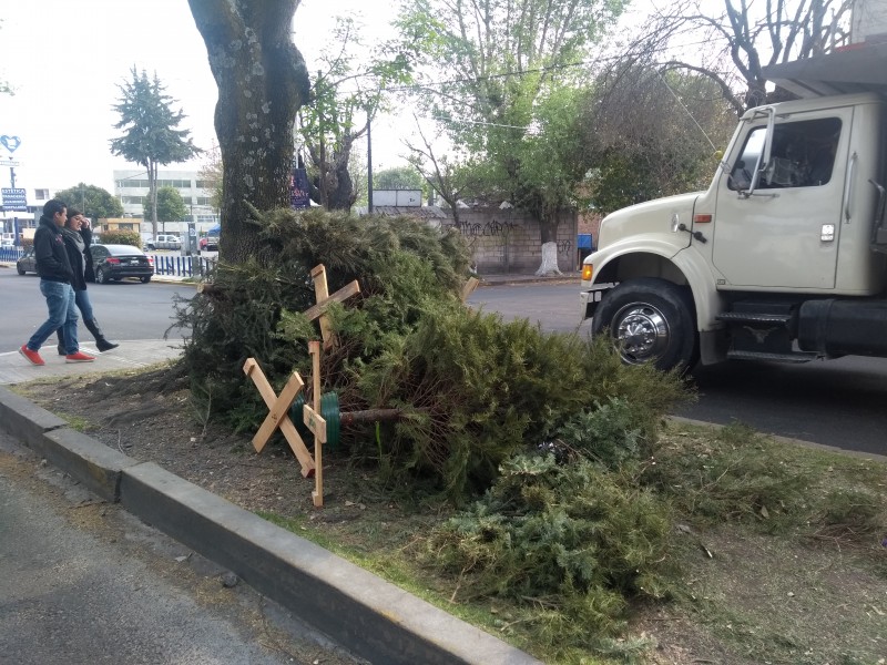 Sin uso centros de reciclaje de árboles navideños