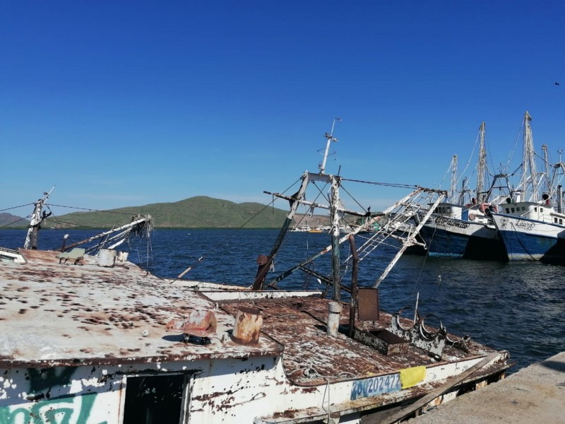 Sin utilidad para renovar flota pesquera de alta mar