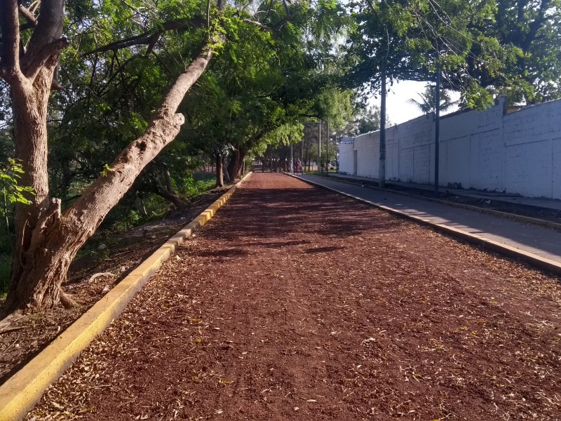 Sin vigilancia y a oscuras Laguna Lagartos