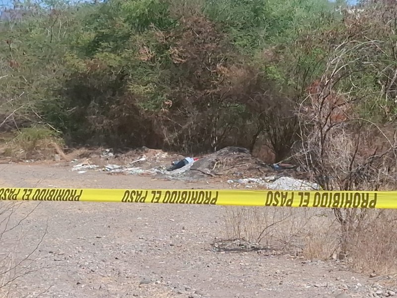Tasa de homicidios de Sinaloa rebasa al resto del país