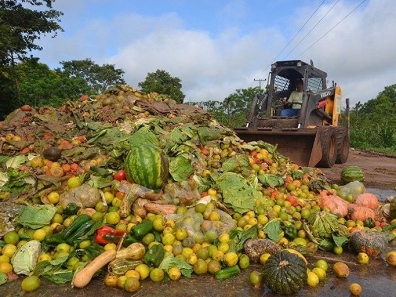 📹Sinaloa desperdicia gran porcentaje de alimento consumible