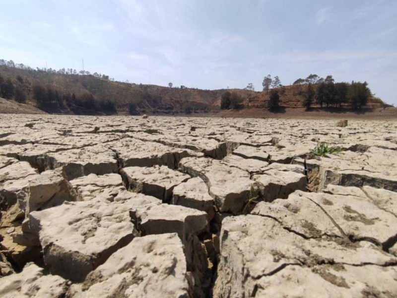Sinaloa invadido por la sequía