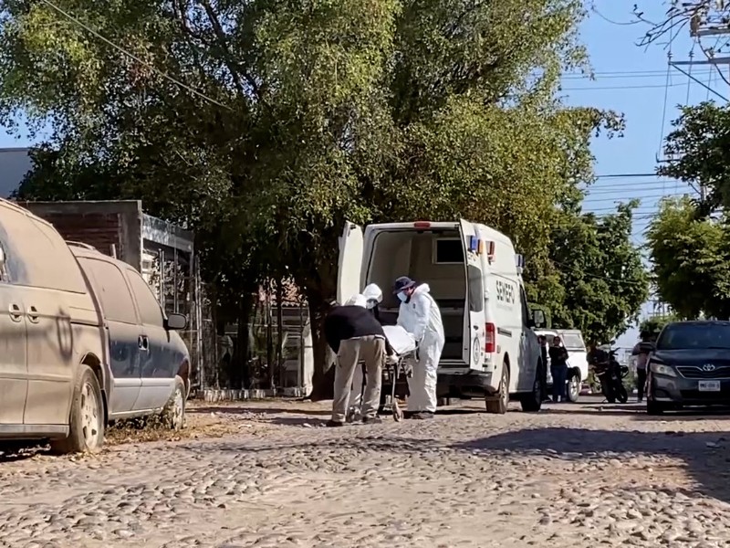 Sinaloa registra 300 huérfanos de feminicidio, la cifra va en aumento