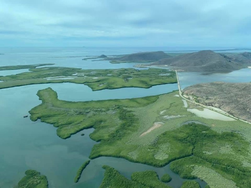 Sistema Lagunar Ohuira: humedal Ramsar clave para biodiversidad y pesca sinaloense