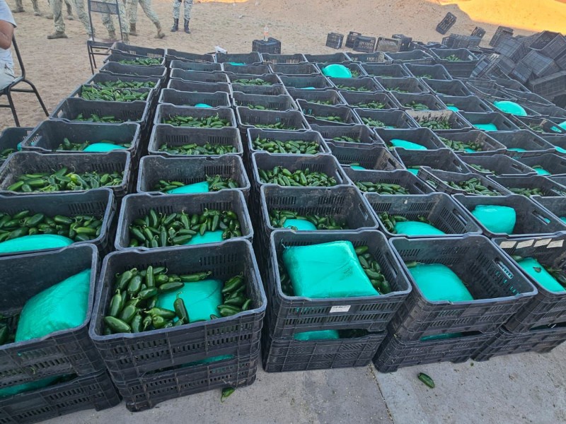 SLRC: Más de una tonelada de droga escondía trailer que transportaba chiles SLRC: Más de una tonelada de droga escondía trailer que transportaba chiles