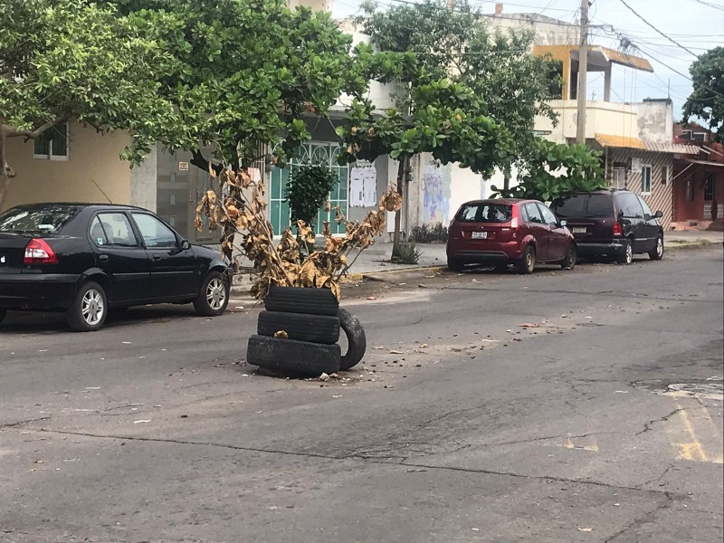 Socavón en la calle Guadalupe Victoria en Veracruz