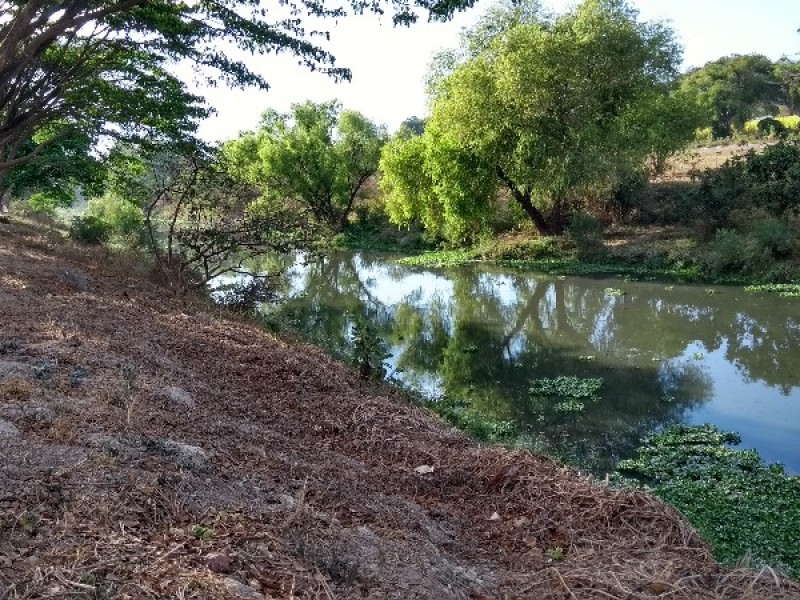 Sociedad civil busca rescatar el río Mololoa