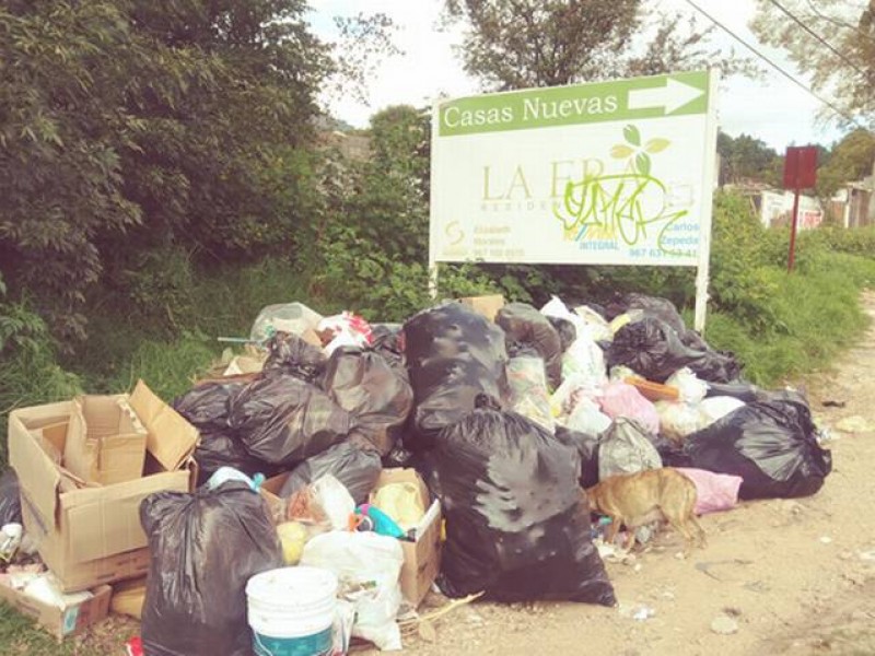 Sociedad civil busca soluciones al problema de basura en SCLC