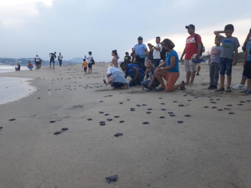 Sociedad y MARINA, liberan tortugas marinas en Salina Cruz