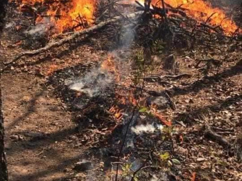 Sofoca Protección Civil 70% de incendios en Valparaíso