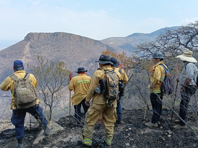 Sofocado incendio en la Sierra de Morones, Tlaltenango
