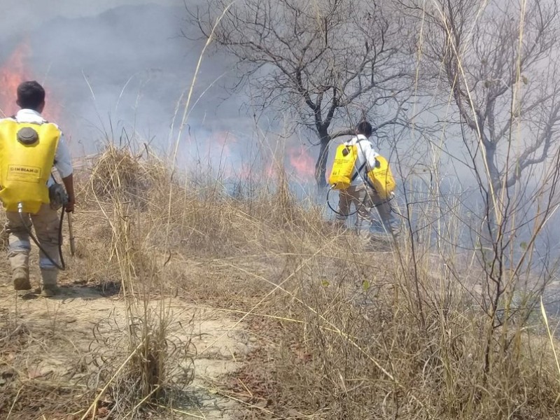 Sofocan autoridades de PC incendio en Jitotol