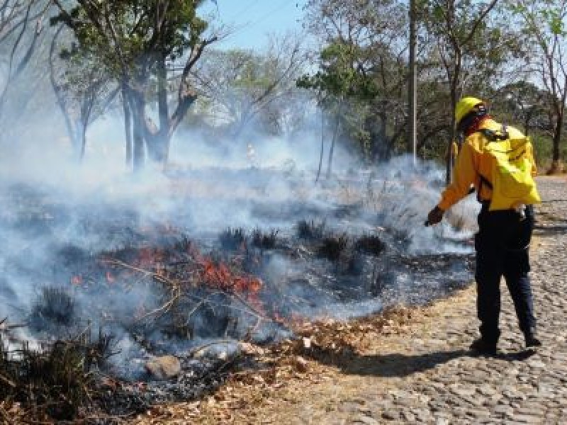 Sofocan brigadas incendio forestal originado en Nácori Chico