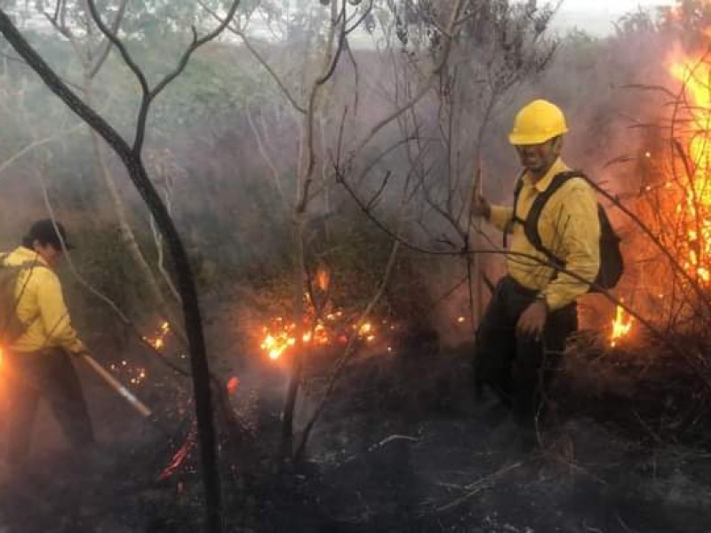 Sofocan incendio en cerro de San Juan