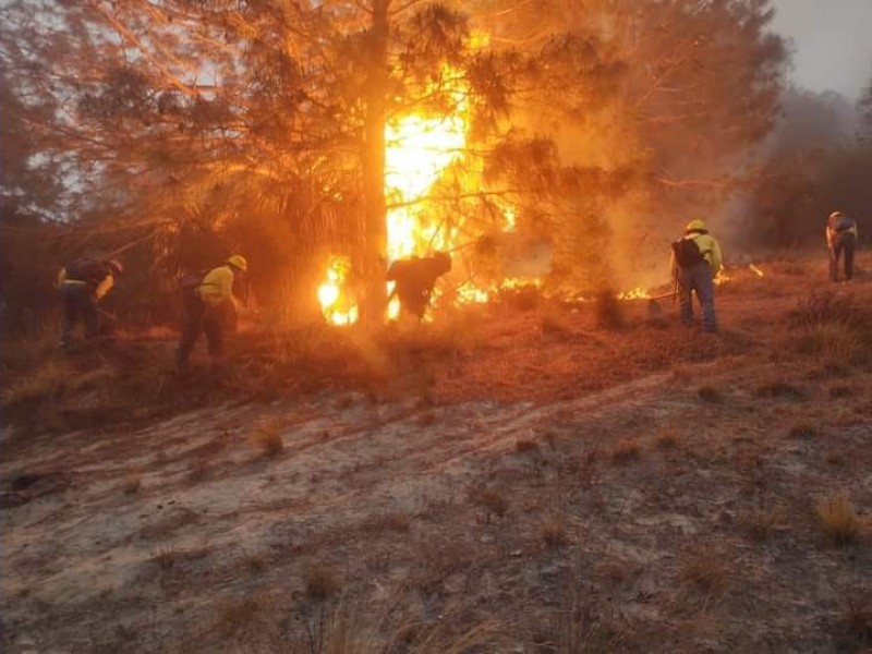 Sofocan incendio en cerro de Virreyes en Oriental