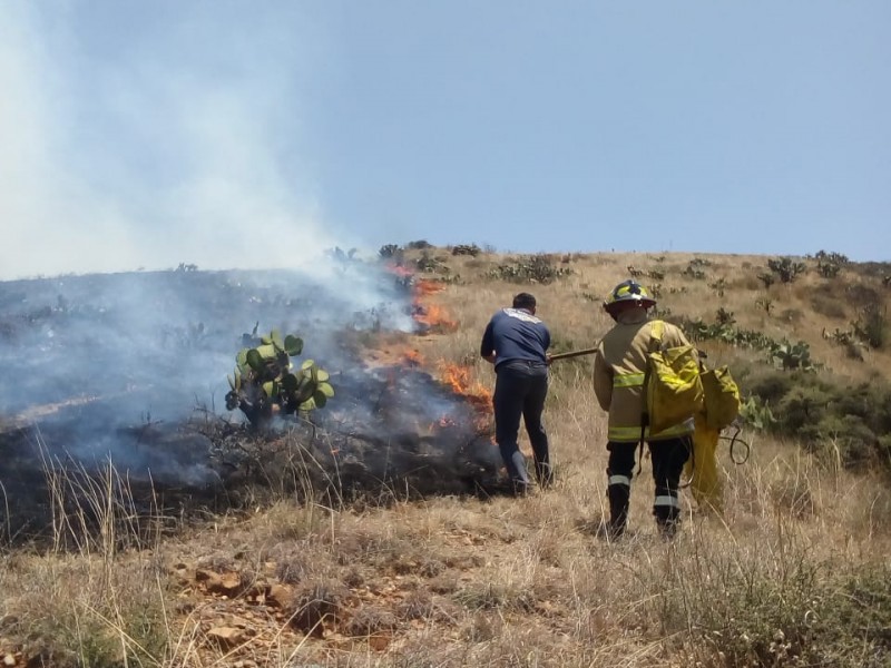 Sofocan incendio en Ecoparque