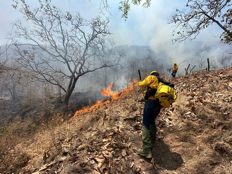 Sofocan incendio en Ejido El Mamey, en colindancia con Jalisco