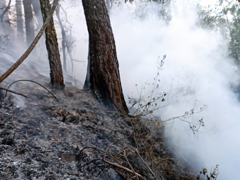 Sofocan Incendio en Zautla