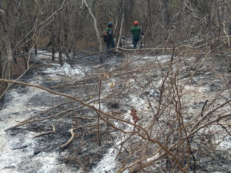 Sofocan tercer incendio que puso en riesgo a Reserva Ecológica