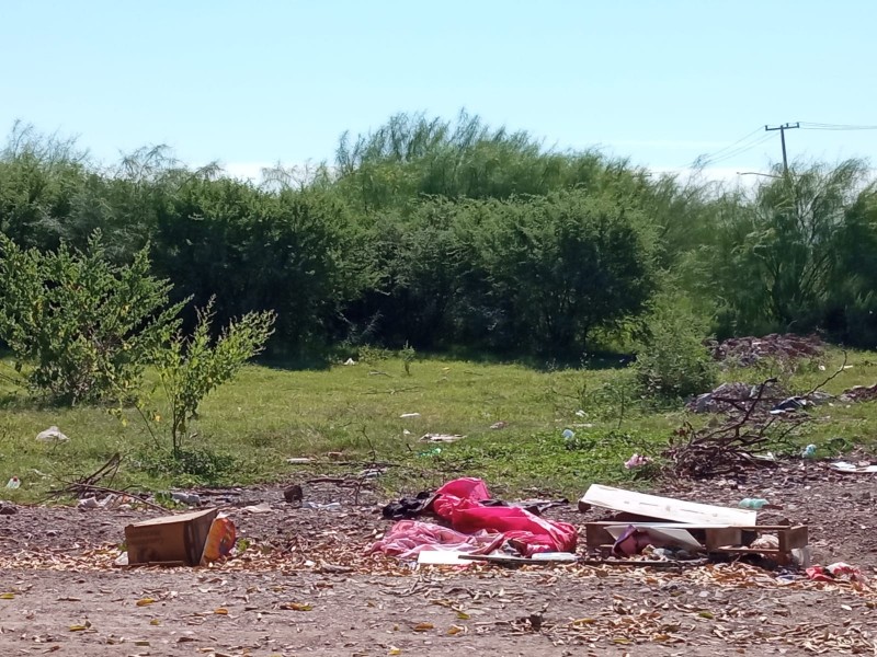 Solares baldíos son tomados como basurones clandestinos en Infonavit Mochicahui