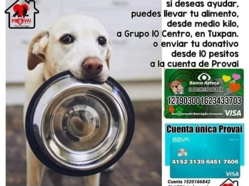 Solicitan apoyo para alimentar a animales rescatados