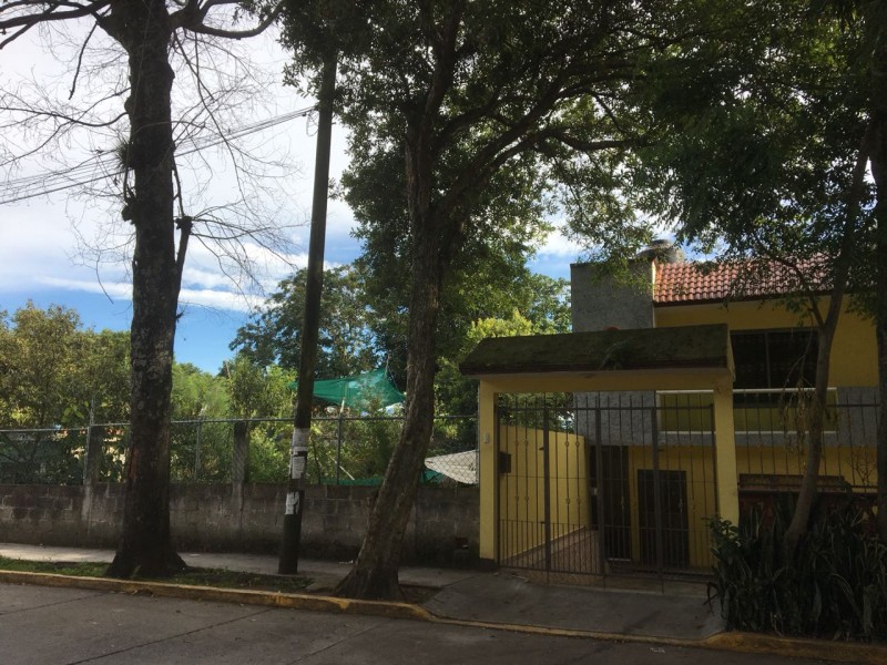 Solicitan apoyo para retirar árboles en la Progreso