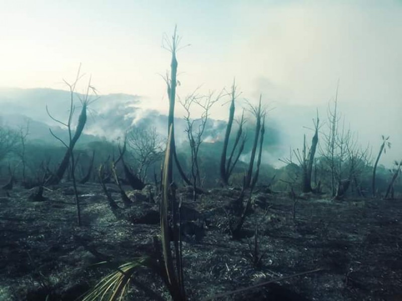 Solicitarán declaratoria de emergencia por incendios en Oaxaca