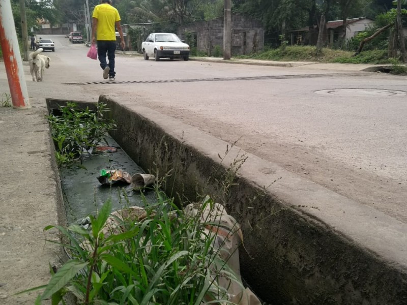 Solicitan limpieza de dren pluvial