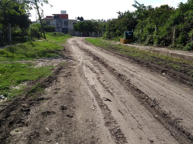 Solicitan pavimentación y alumbrado en El Naranjal