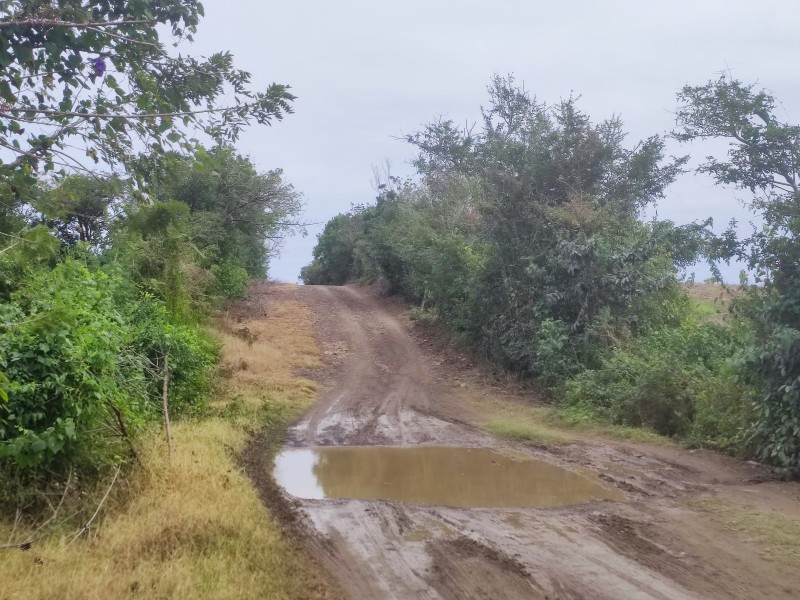 Solicitan rehabilitación de acceso a la playa Boquilla en Cazones