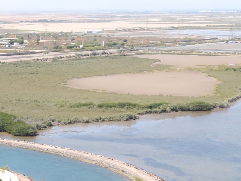 Solicitan visita de Convención Ramsar a Topolobampo