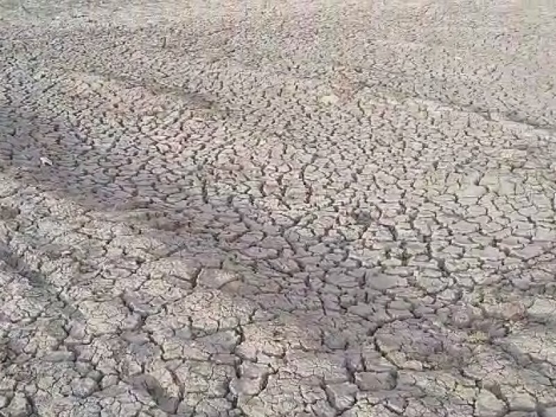 Solicitarán declaratoria de emergencia para Nogales por sequía
