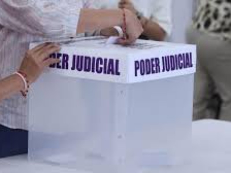 Sólo 11% del padrón electoral acudieron a votar en Nayarit