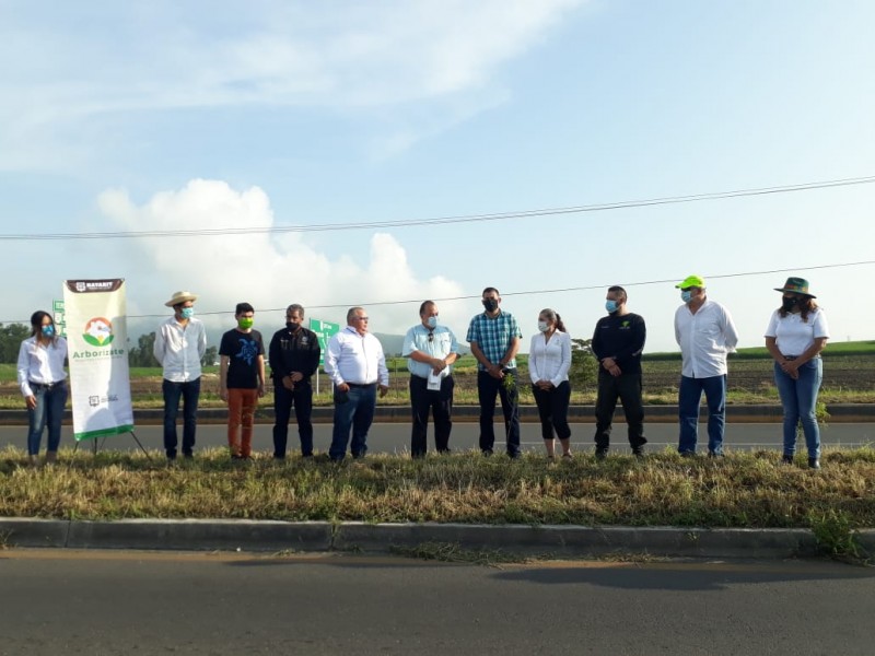 Sólo 3 de cada 10 árboles reforestados sobreviven en ciudad