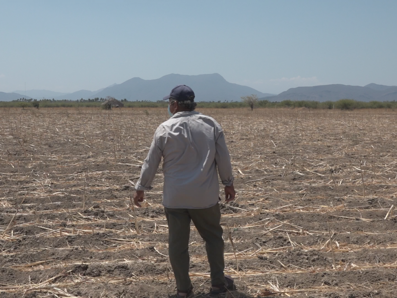 Solo 7% del territorio oaxaqueño registra algún tipo de sequía