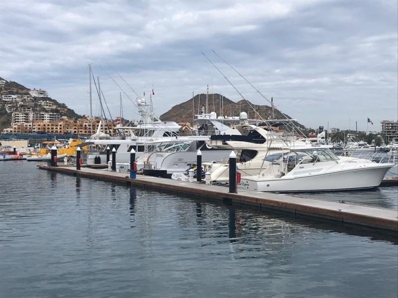 Solo cuatros representantes de la pesca acudirán al parlamento abierto