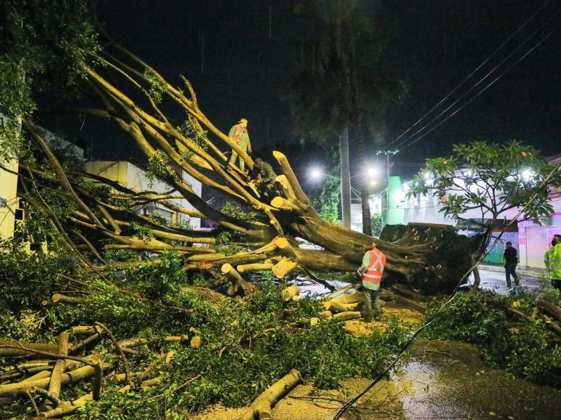 Sólo daños materiales dejó de la lluvia del sábado