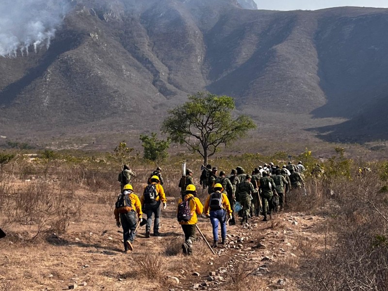 Solo queda un incendio activo en Veracruz