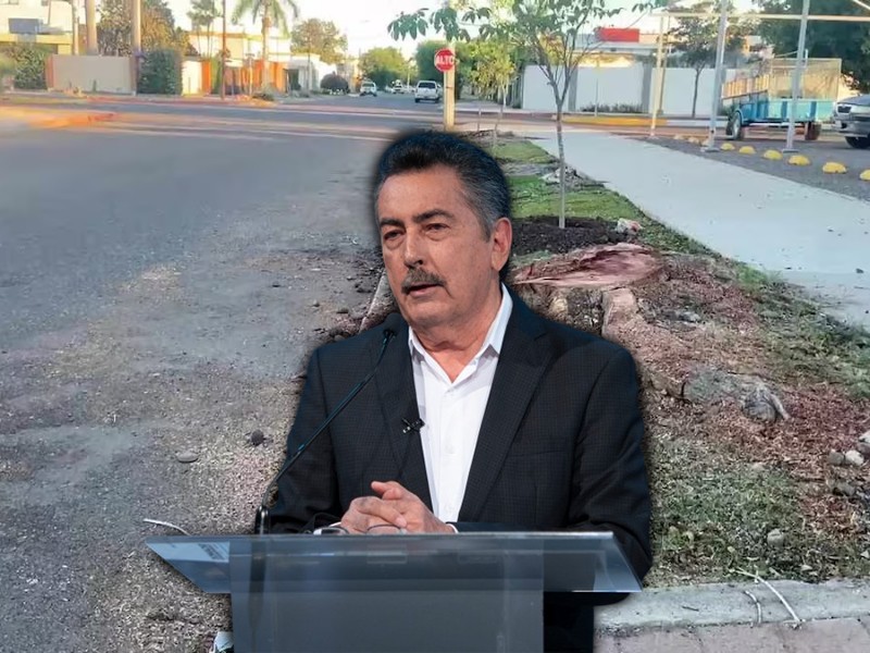 Solo un caso de multa por poda fue perdonado, dice alcalde