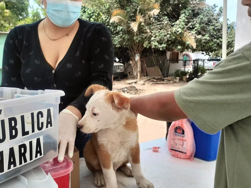 Somos Odontos de UVM se suma a jornadas de salud