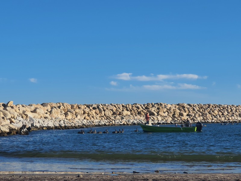 Son prometedores los próximos torneos de pesca deportiva