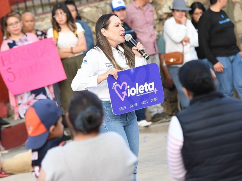 Son un delito electoral Tarjetas Rosa y Violeta: Roberto Saucedo