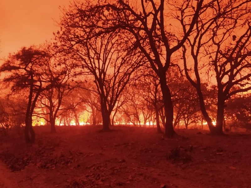 Son ya 17 horas de incendio en La Primavera