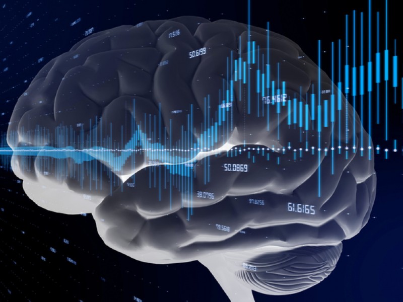 Sonidos y palabras se procesan en el cerebro por separado