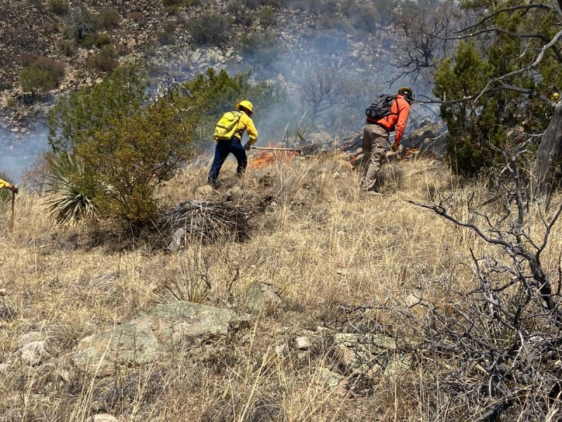 Sonora:  89 los incendios registrados, recórd histórico