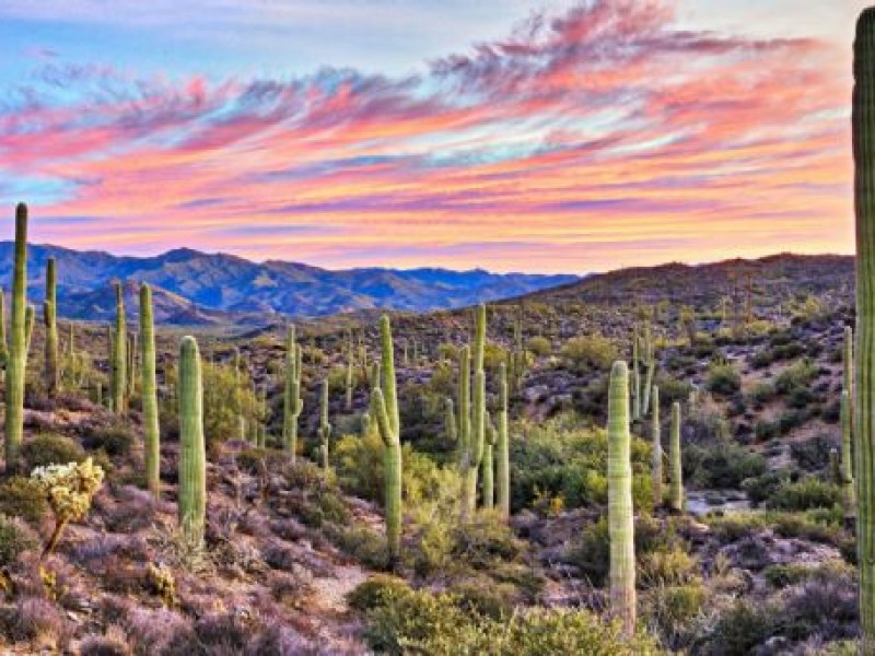 Sonora con temperaturas entre los 22 y 30 centígrados