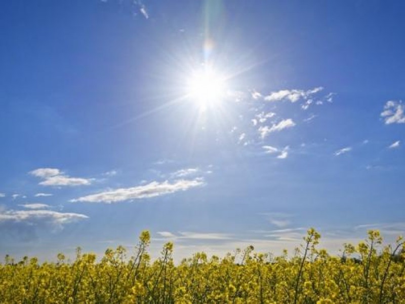 Sonora con temperaturas entre los 22 y 37 grados