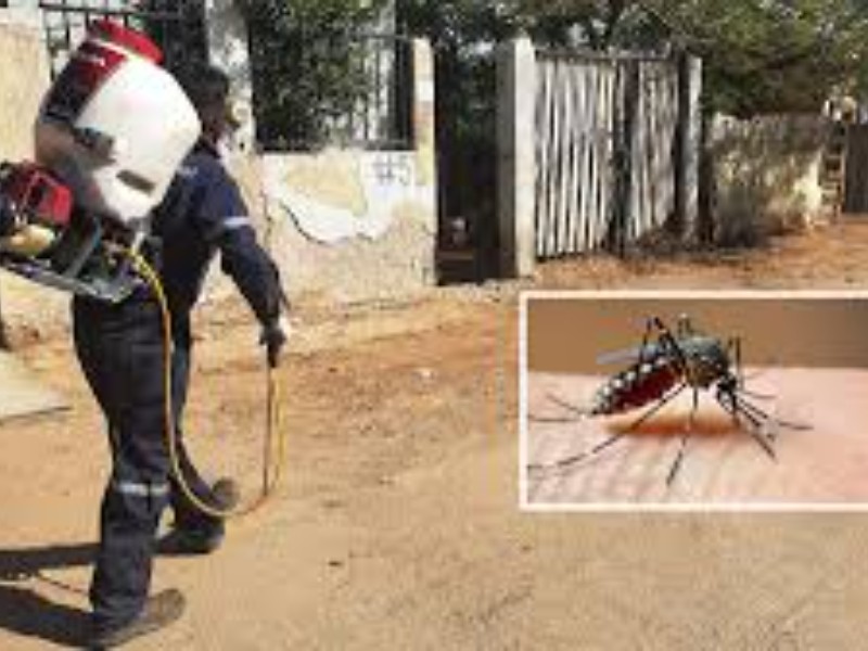 Sonora en tercer lugar nacional por casos de dengue en 2025
